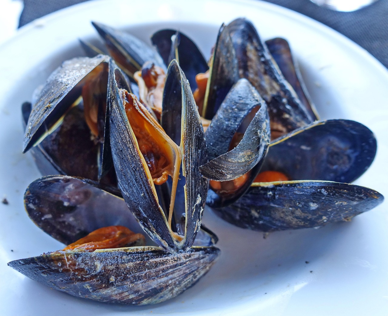 香港海港城美食攻略，品味东方之珠的美味佳肴